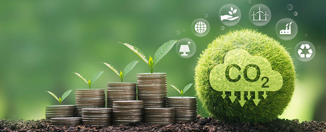 O que são os créditos de carbono?